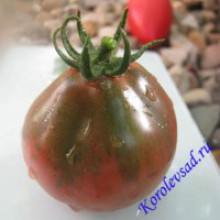 Редкие сорта томатов Винный кувшин